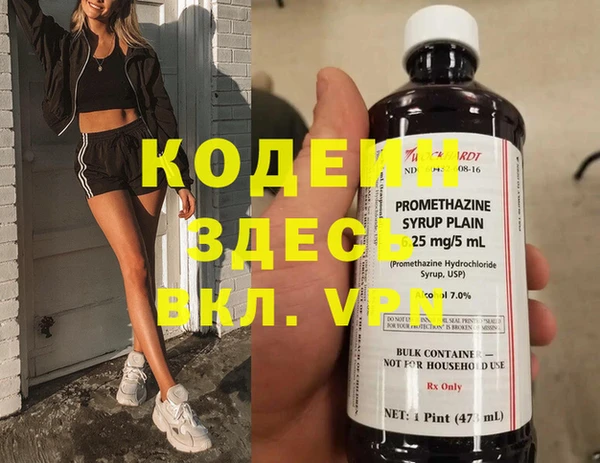 прущие грибы Богданович