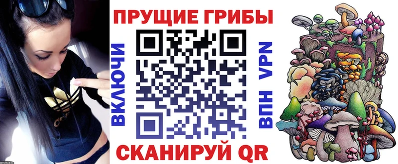 Галлюциногенные грибы Psilocybine cubensis Бирюсинск